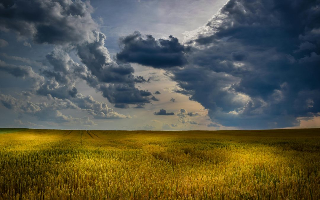 A gyógyulás folyamata